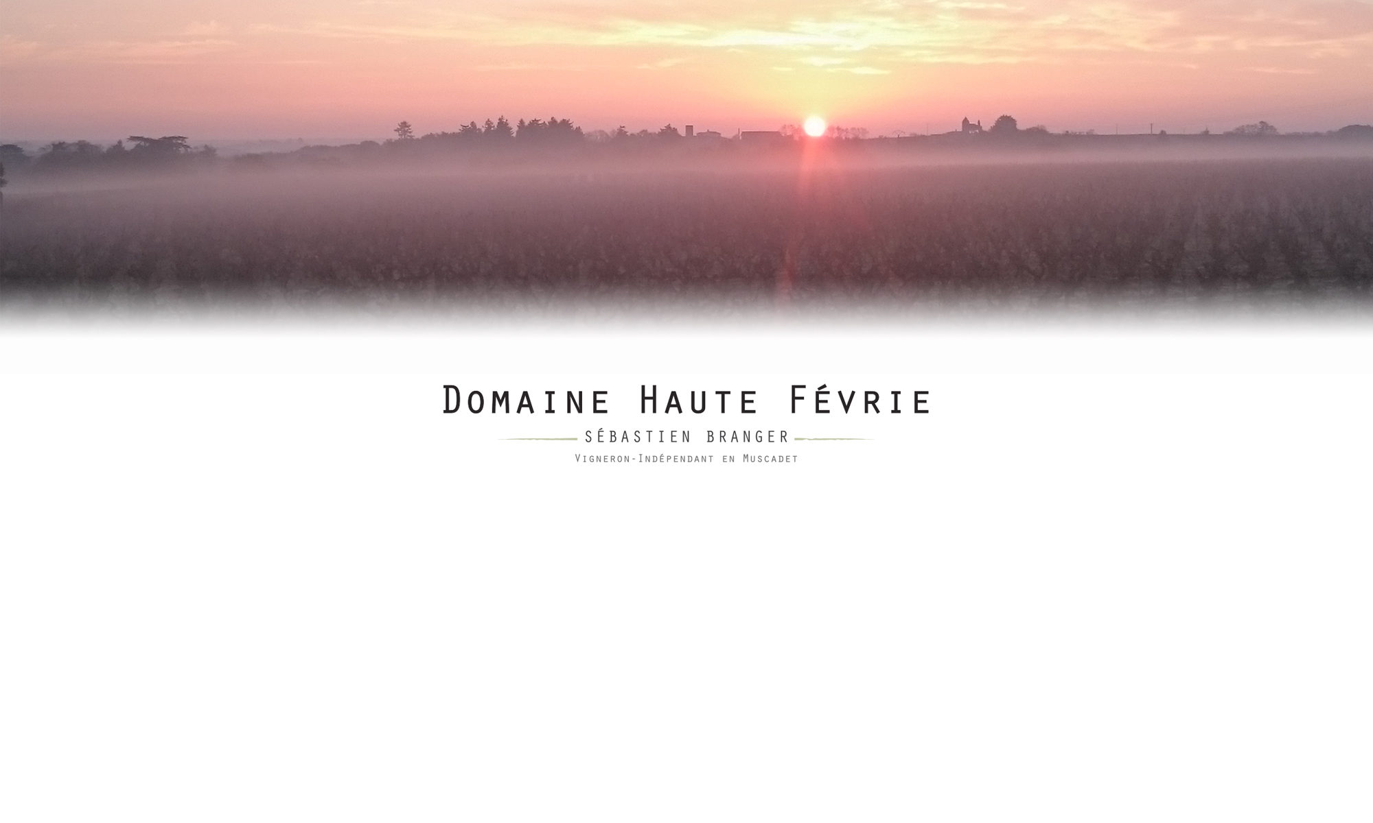 Logo Domaine Haute Févrie