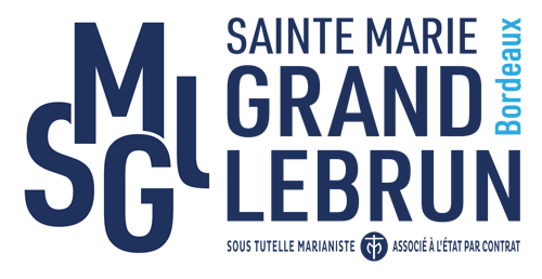 Logo Saintem