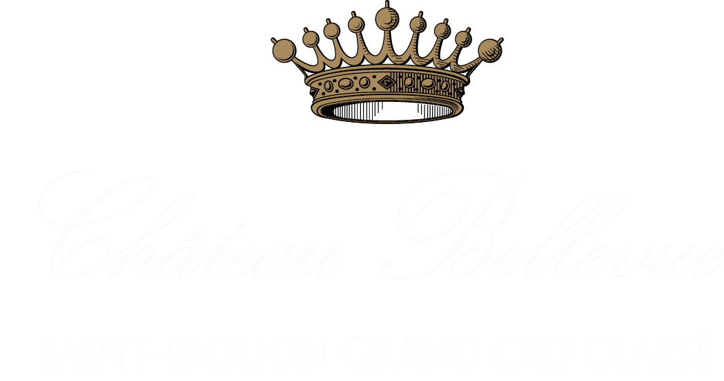 Logo Bellevue Saint-Georges